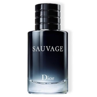 DIOR 迪奥旷野男士淡香水 60ML